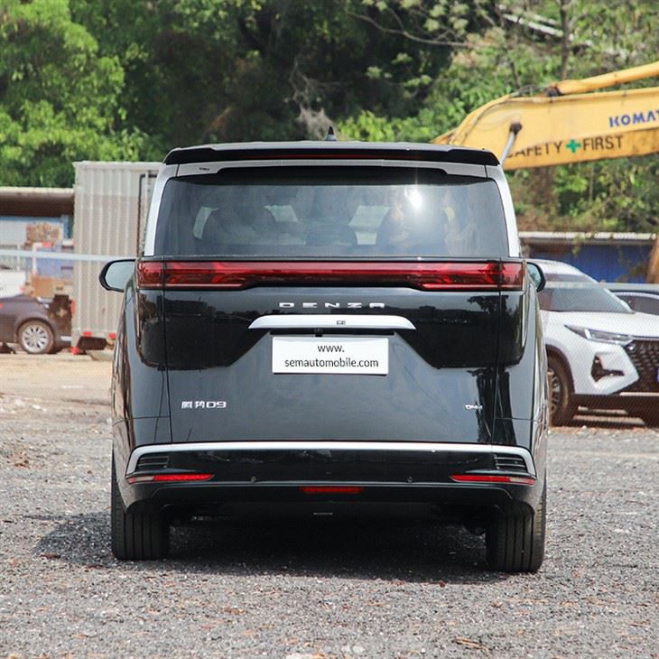 Denza D9 EV MPV 2024